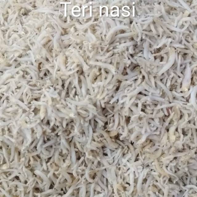 

Teri Nasi