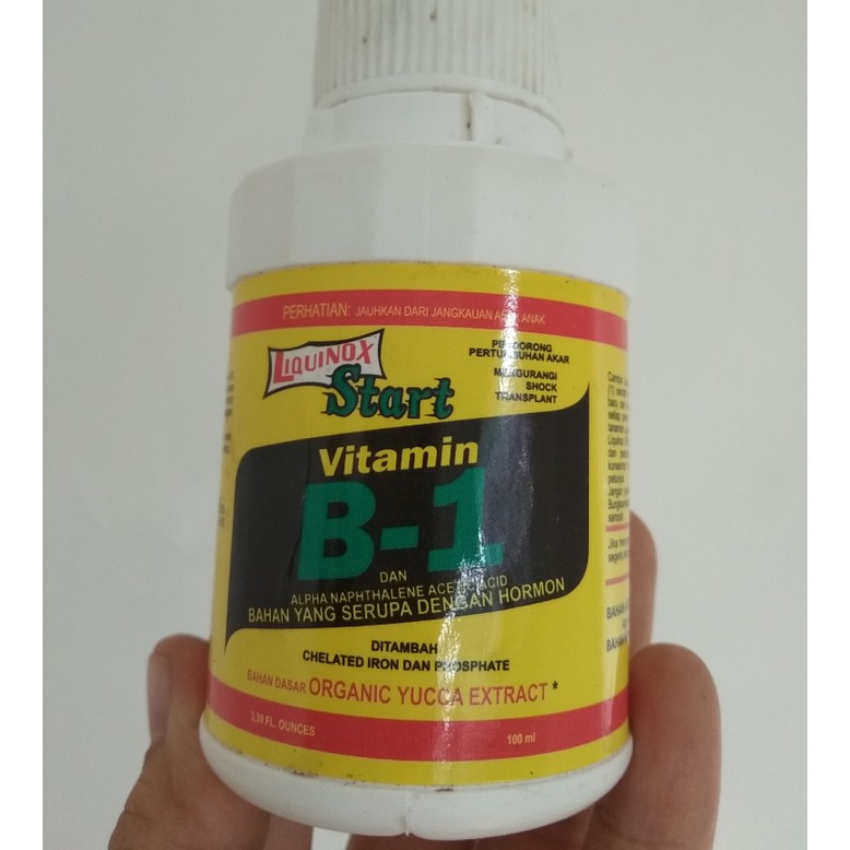 Pupuk Vit.B1 liquinose start/ untuk pindah tanaman
