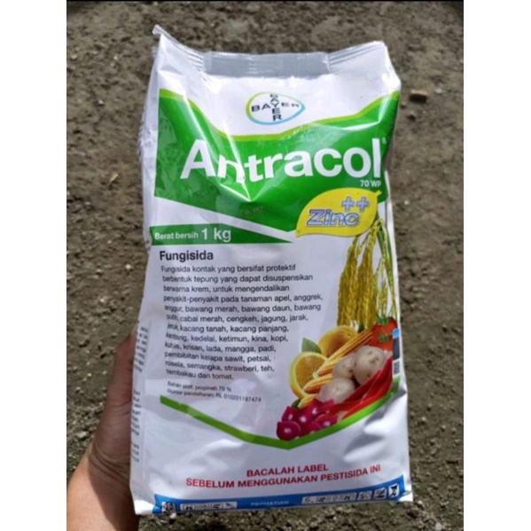 Antracol 70 WP 1 kg