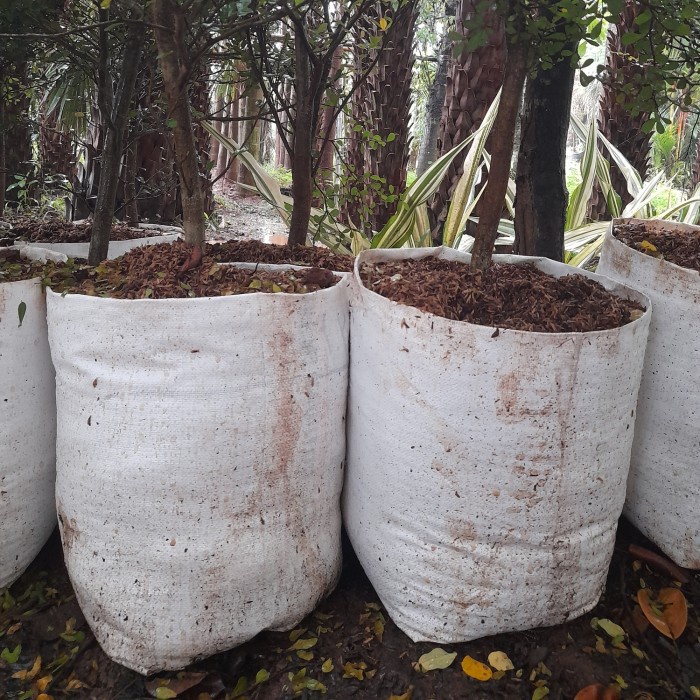 Planter bag 12,5liter - polibek karung