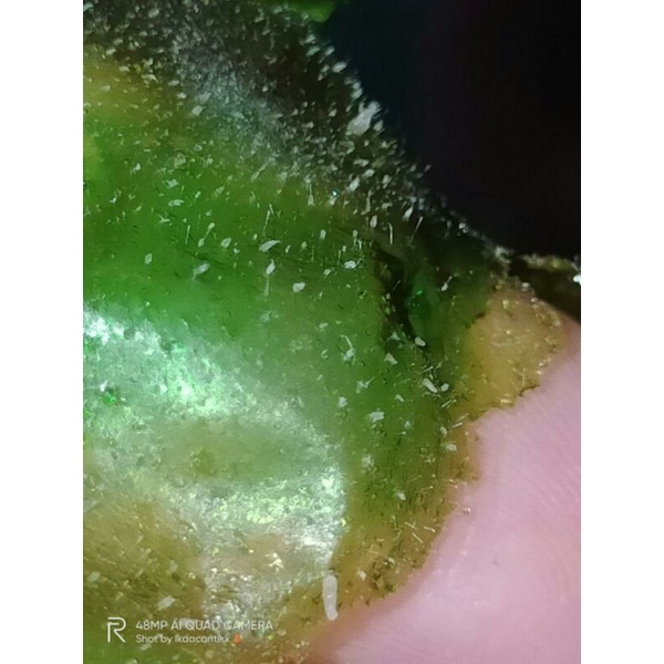 MASKER KOMEDO SISKA CHIC