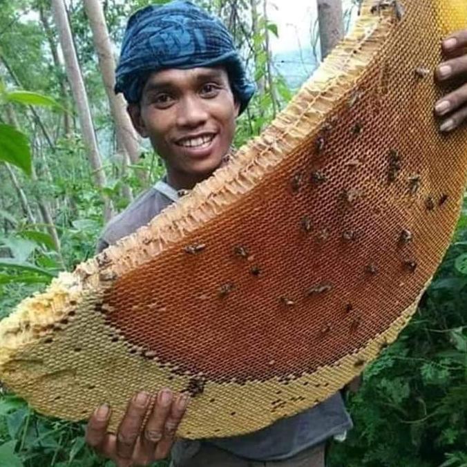 

Promo Spesial - Madu Asli Hutan Suku Baduy