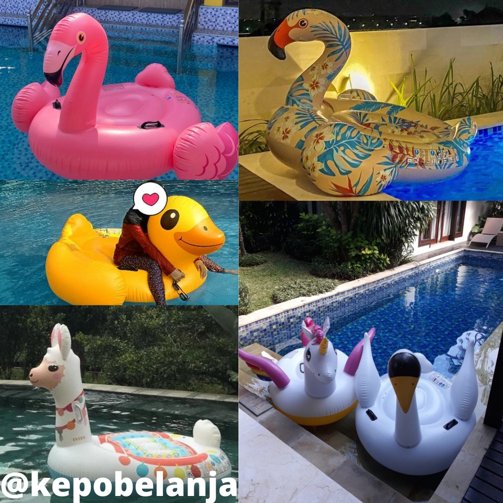 Promo pelampung bebek DUCK UNICORN FLAMINGO SWAN LLAMA INTEX ride on murah dewasa renang MURAH