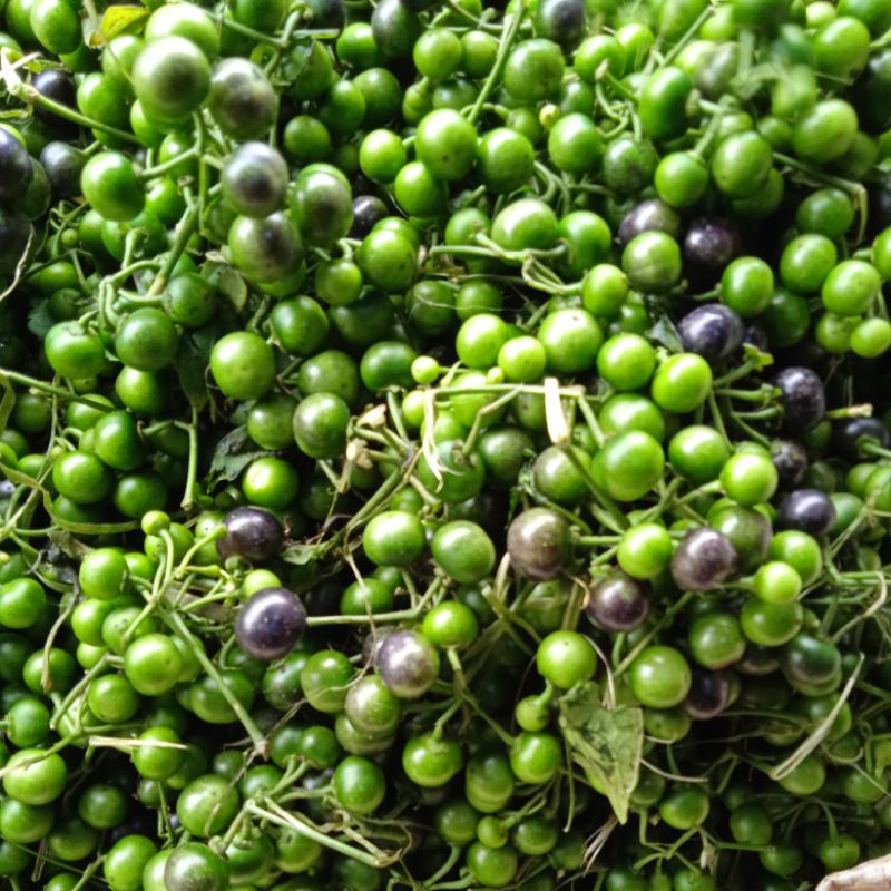 

lencah sayur 1 kg