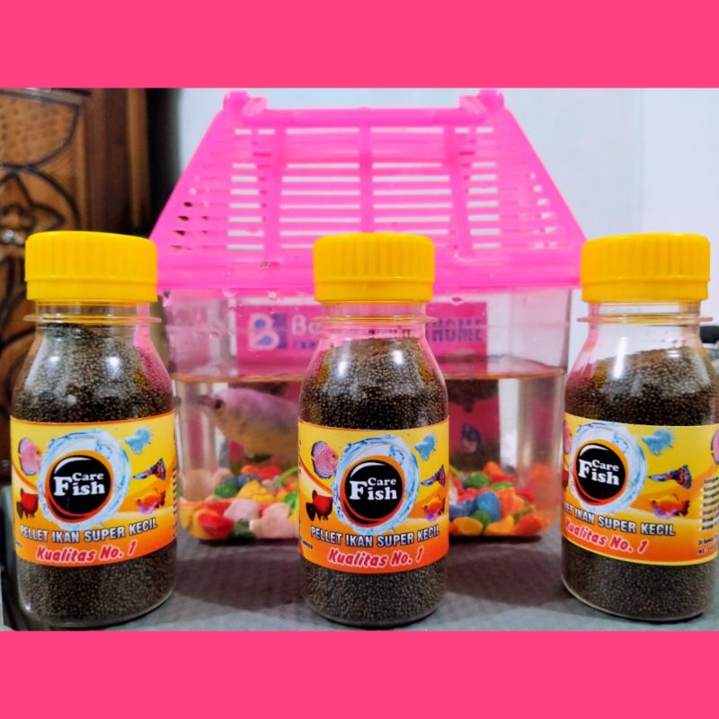 PAKAN IKAN CUPANG/IKAN HIAS KECIL