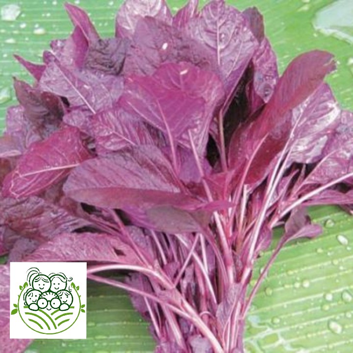 Sayur Organik Surabaya - Bayam Merah 200 gram