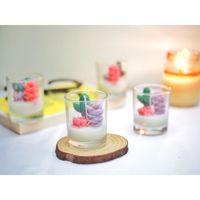 Jual kaktus candle scented candle terrarium kaktus scented candle