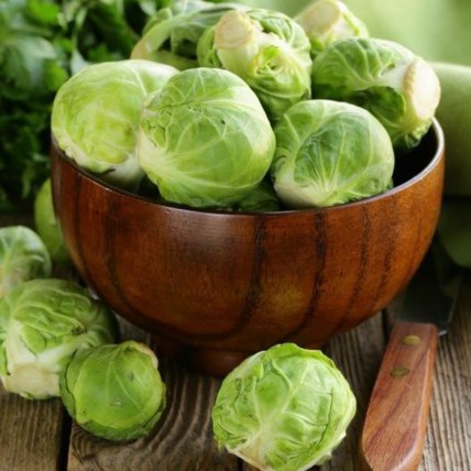 Biji Bibit Benih Sayur Brussel Sprouts - Sayur Kol / Kubis Kecil Mini Brussel Sprouts 15 Biji
