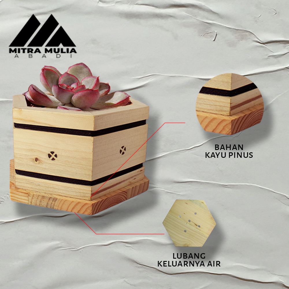 Pot vast Bunga hexagonal Kayu Pinus warna Cream | vast bunga mini