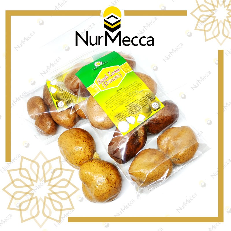 Buah Zuriat Kembar Buah Doum 250 Gr