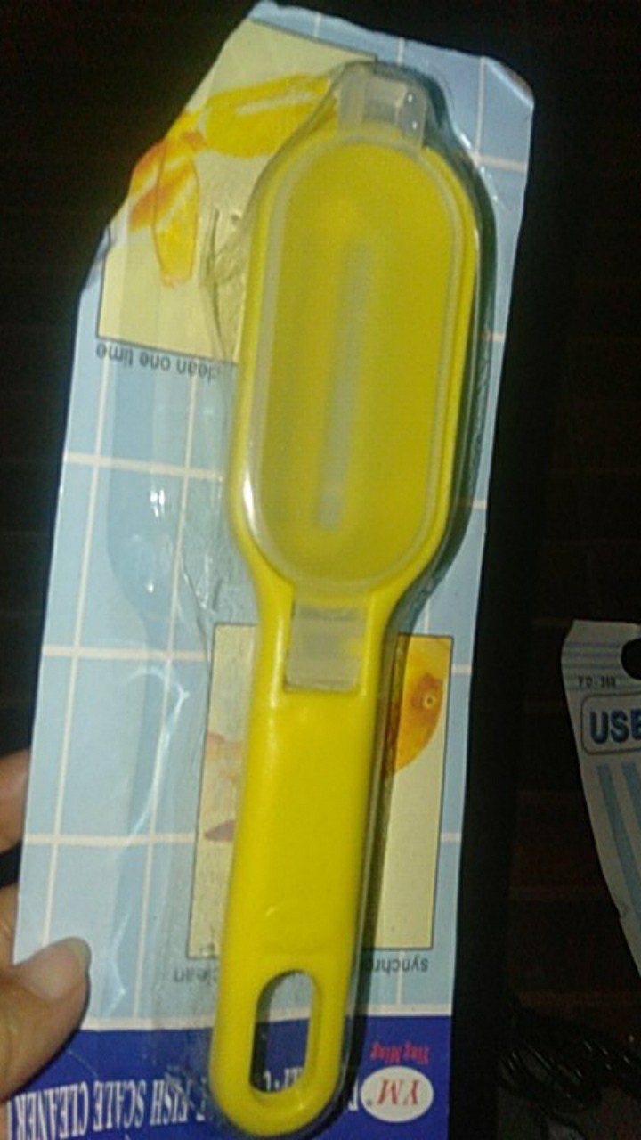 Pembersih Sisik Ikan