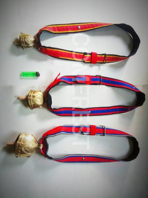 Kalung Sapi besar ukuran lengkap.