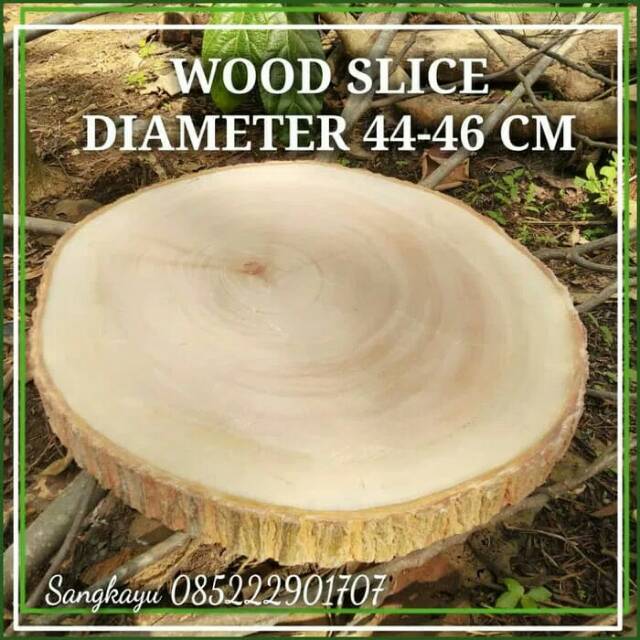 Kayu Wood slice 44-46 cm tatakan talenan