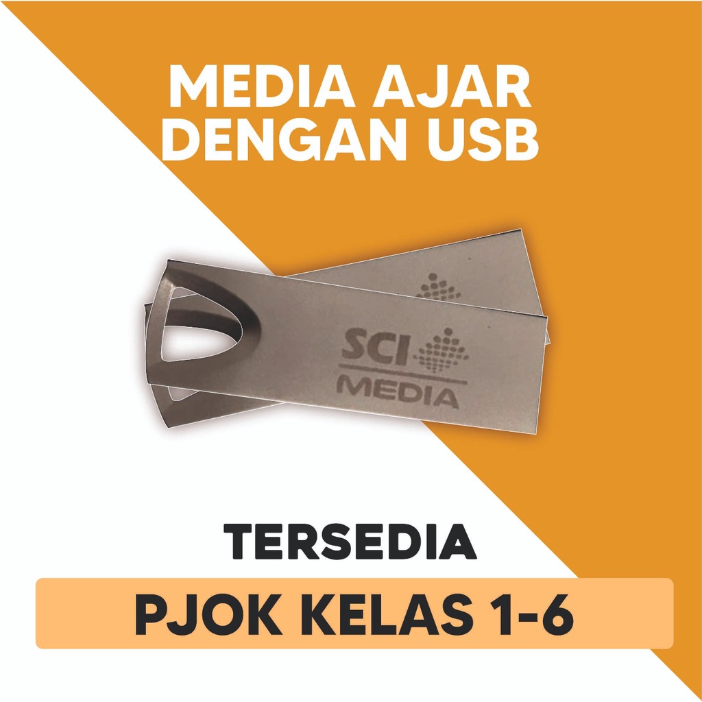 RPP PJOK KELAS 1-6 SD/MI K13 EDISI TERBARU