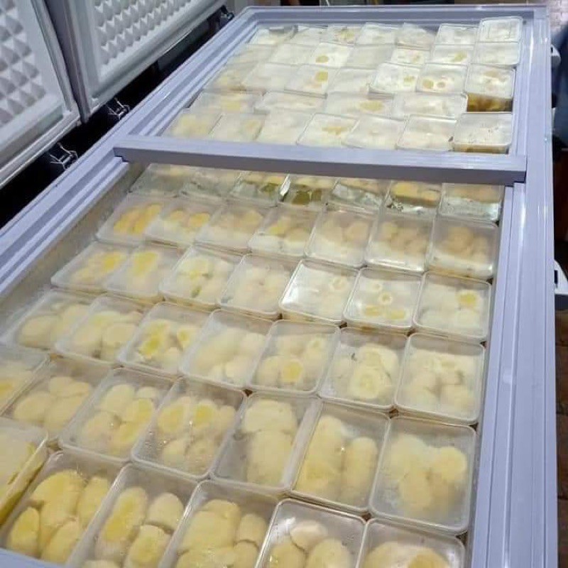 

frozen durian