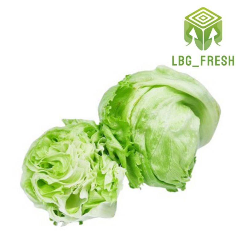 

Head Lettuce ( iceberg ) 500gr
