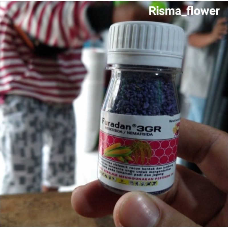 PUPUK FURADAN - MEDIA TANAM PUPUK FURADAN