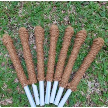 Turus Tanaman Penyangga 30cm