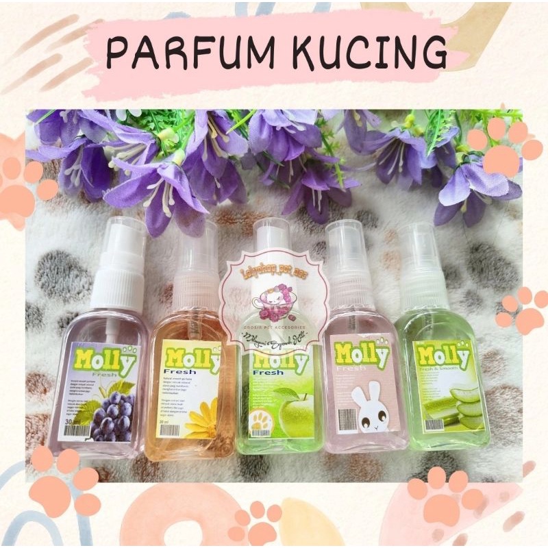 PARFUM KUCING / PARFUM HEWAN