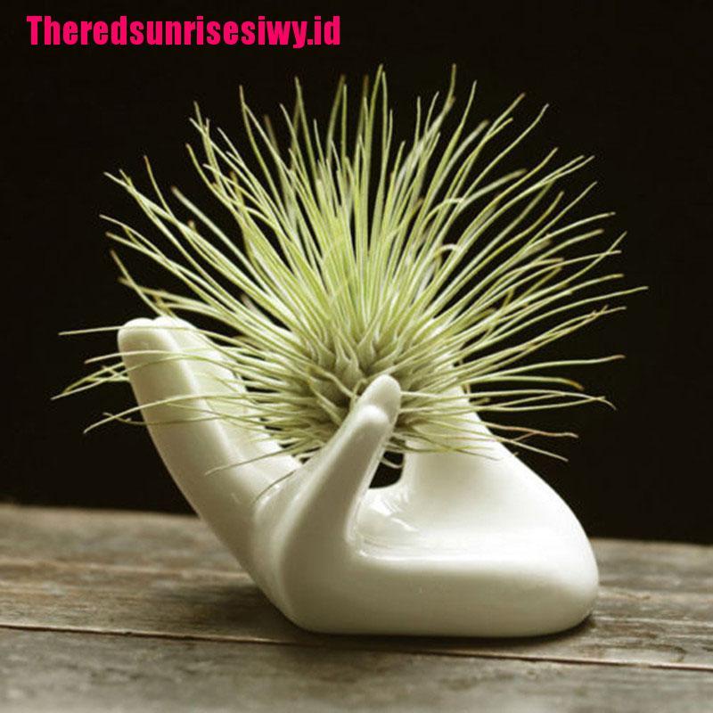 【Theredsunrisesiwy.id】Porcelain Ceramic Air Plant Tillandsia Holder Flower Planter Office Desk Decor