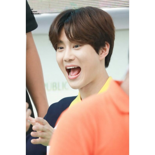 ALBUM DELIGHT SEALED