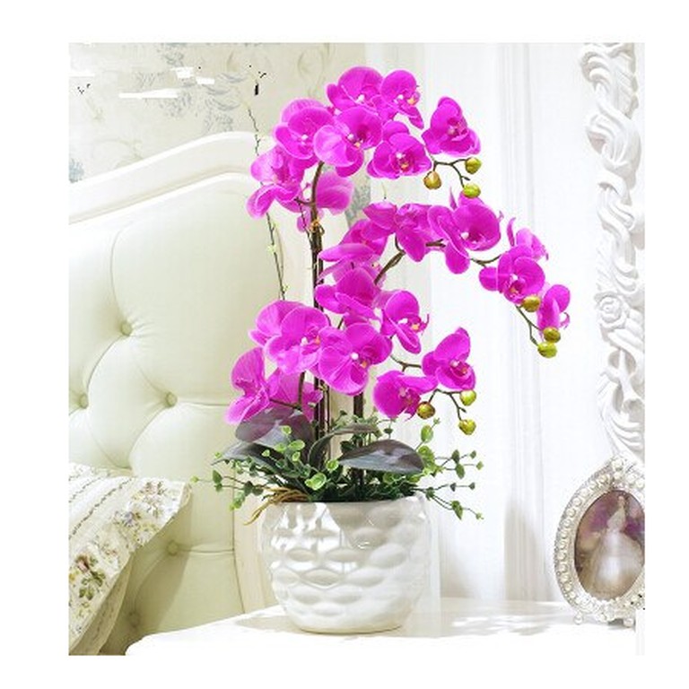 Naindo Bunga Meja Anggrek Bulan Latex 4 cabang + Pot rangkaian- bunga sudut -tinggi 60 cm