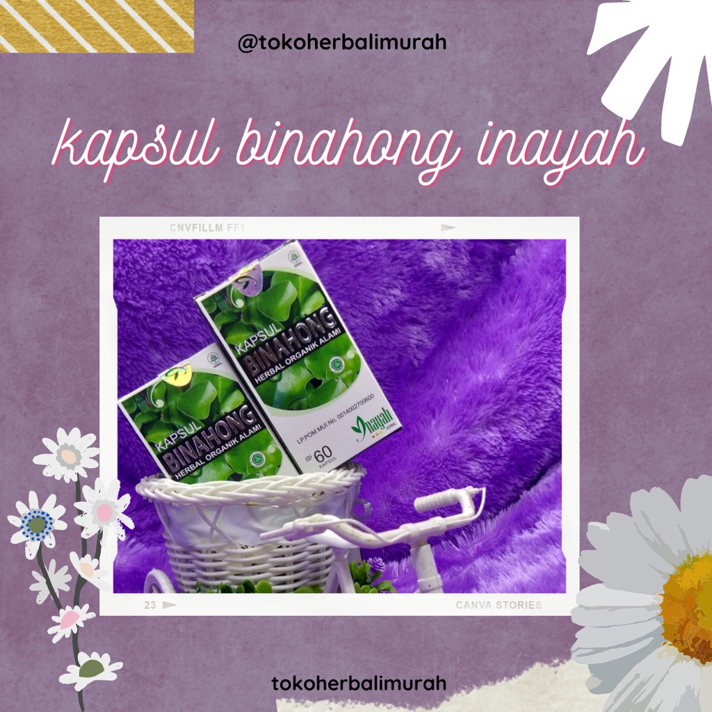 

KAPSUL DAUN BINAHONG ORIGINAL