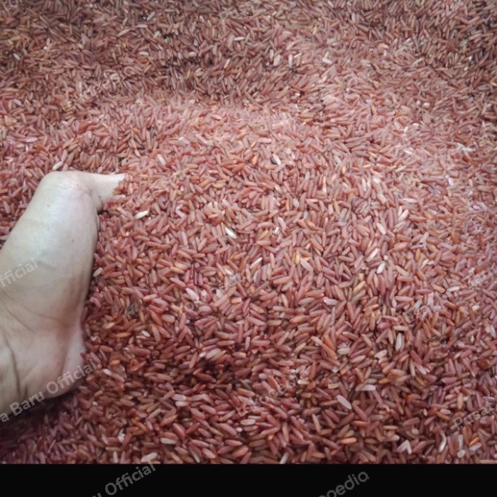 

beras merah 5 kg organik pulen enak