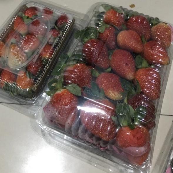 

V0 STRAWBERRY SEGAR JUMBO 250 GR 500 GR - stroberi Stowbery V0 Terlaku.・