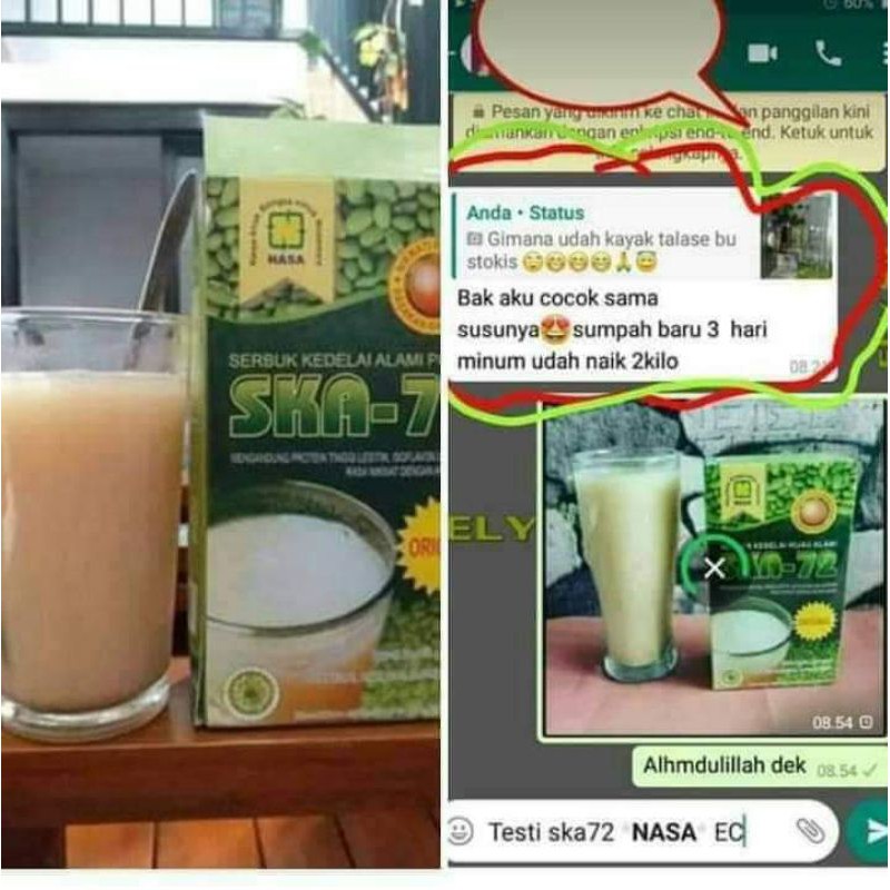 

Susu kedelai hijau berprotein bubuk organik SKAO penggemuk badan alami