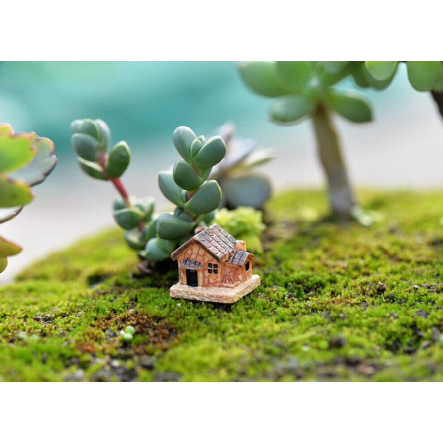 Miniatures - Terrariums - Stone House #01