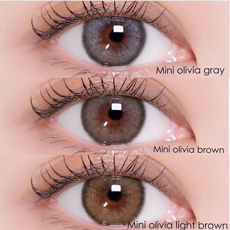 Jual Softlens Kitty Kawaii Mini Olivia Natural Series Gray Grey Blue