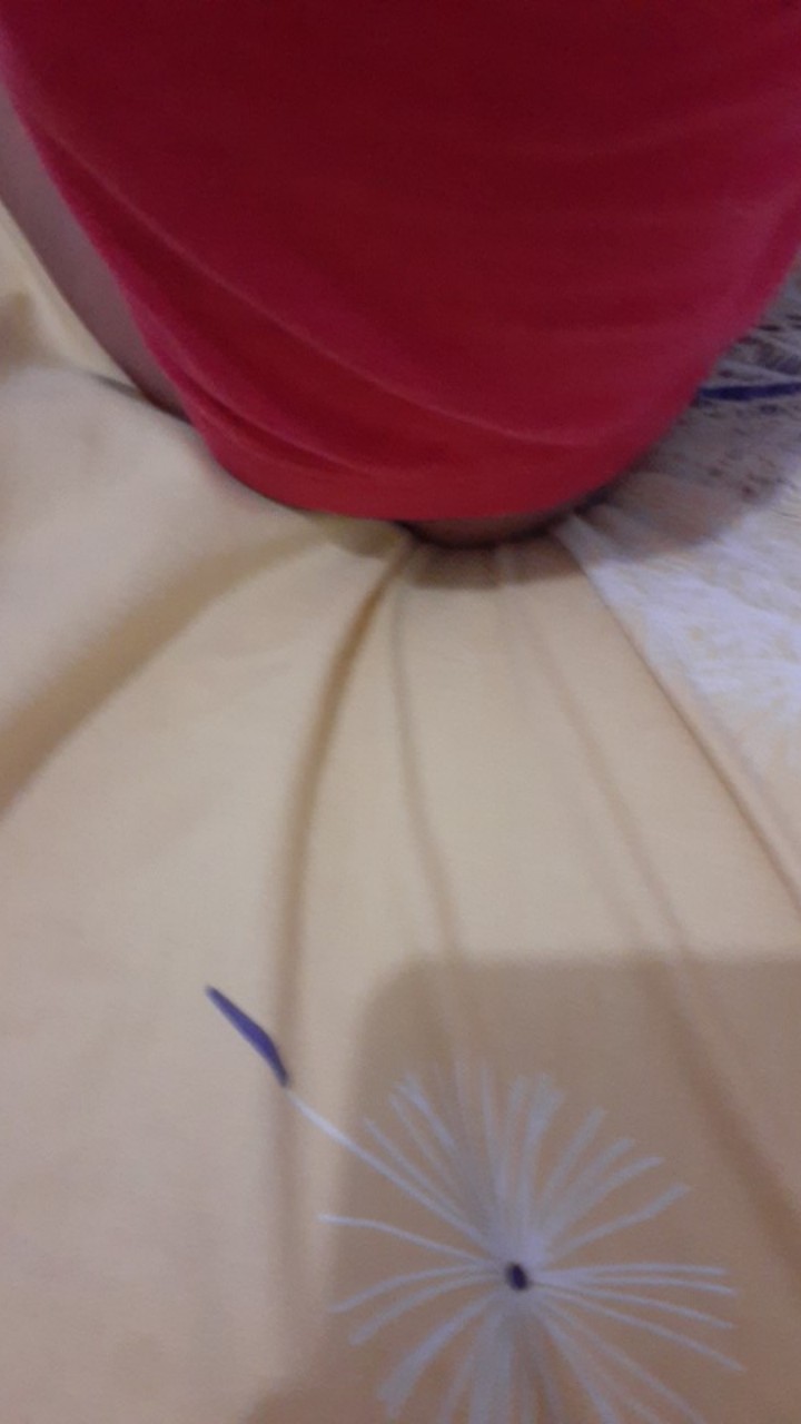 Pianika Melodica Speeds Original Tombol Doremi Murah Tas Warna