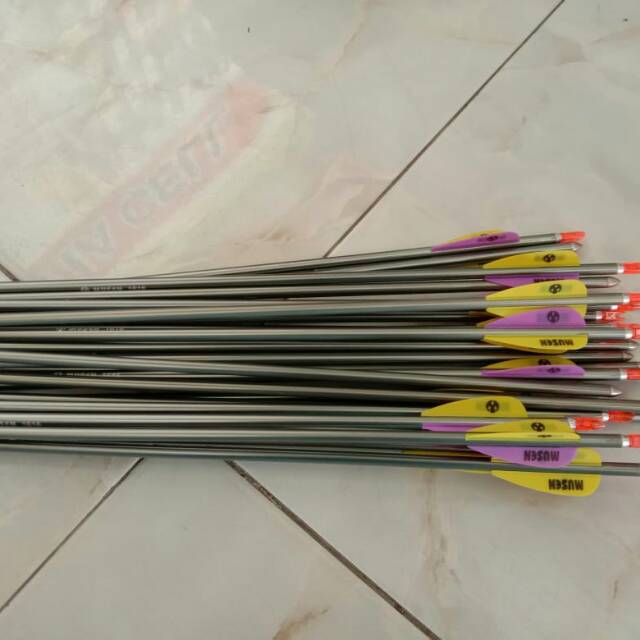 Arrow platinum musen 1616