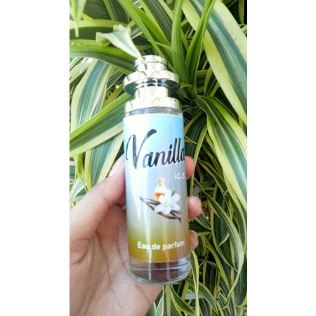 parfum vanila ice 35ml original termurah