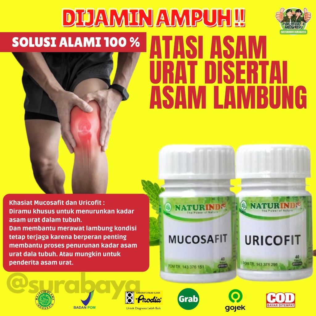 Obat Sakit Asam Lambung Maag Begah Sendawa Obat Herbal Sakit Maag Obat Asam Lambung Maag Kronis Obat Lambung Ampuh BPOM MUI Herbal MUCOSAFIT Naturindo Surabaya Obat asam lambung GERD naik maag gerd kronis tungkak lambung sakit perut mual muntah Herbal-LAMBUNG + ASAM URAT