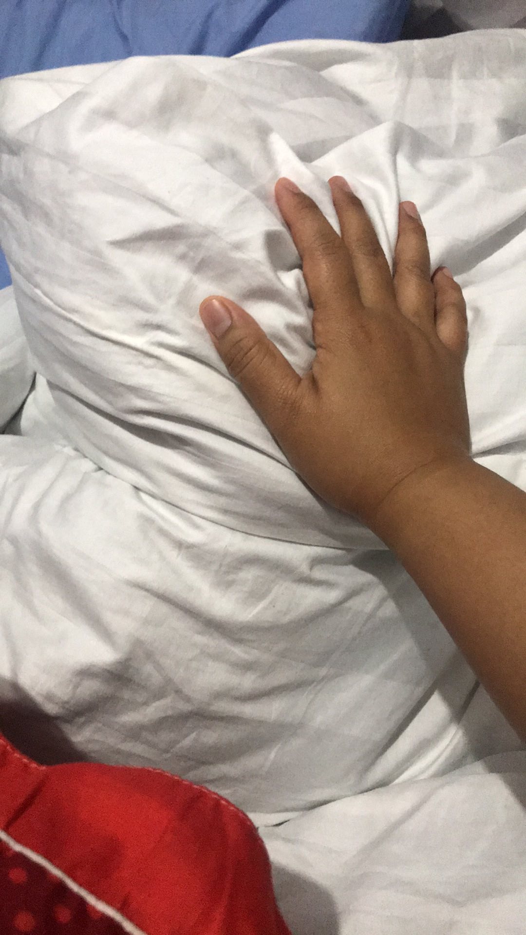 Duvet Cover / Quilt Cover / Sarung Selimut Size Single / Queen / King Size - Hotel Collection -