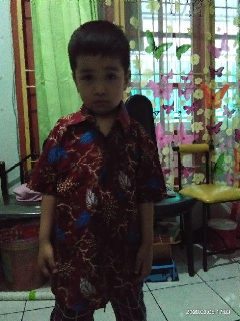 Baju Batik Anak Laki Laki (motif Krokot)