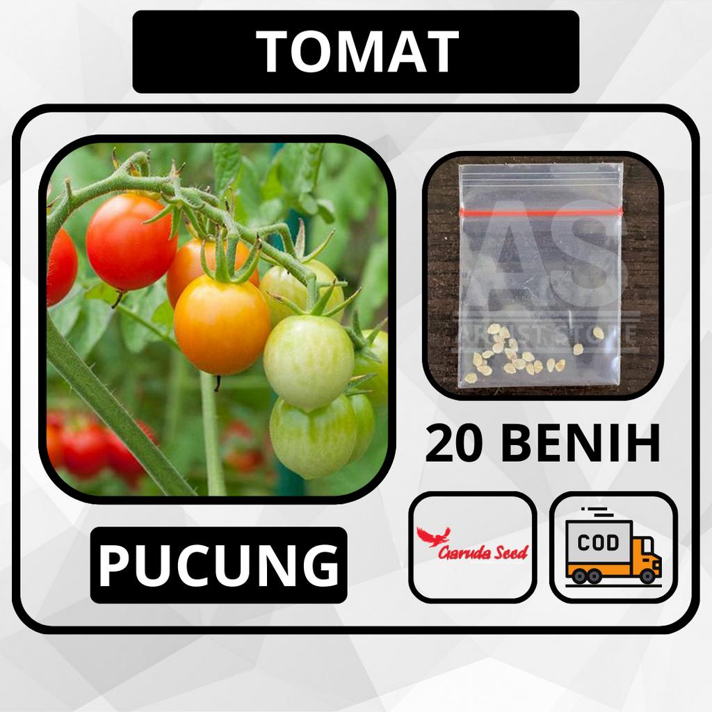 20 Butir - TOMAT Rampai Unggul PUCUNG Garuda Seed Bibit Tanaman Sayuran
