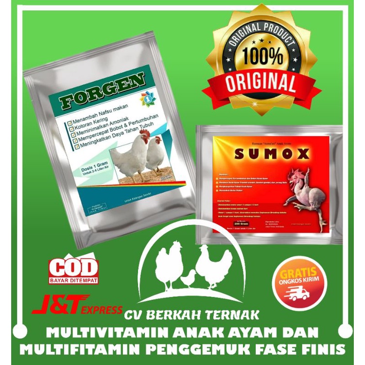 SUMOX FORGEN MULTIVITAMIN PENGGEMUK