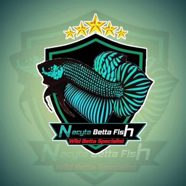 nacytabettafish