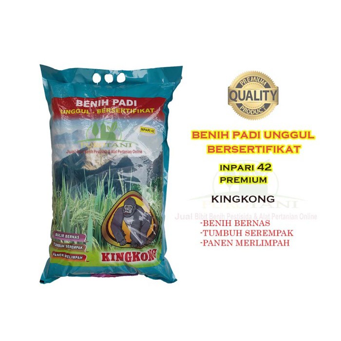 Benih Padi Inpari 42 Jumbo Premium Kingkong 5kg