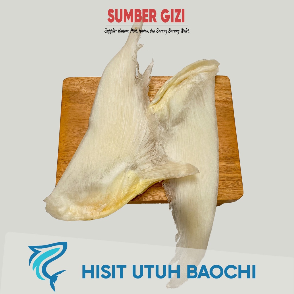 HISIT KERING SIRIP IKAN HIU BAOCHI PAOCHI HUCHI HU CHI HECHI SIRIP HIU