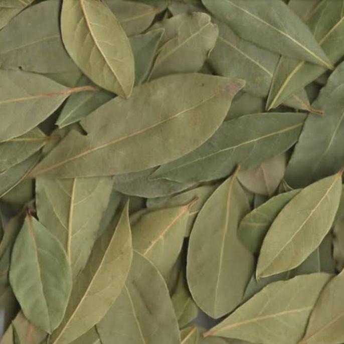

{{{{{{] leaf india Kapulaga dan bay biasa dan kapulaga
