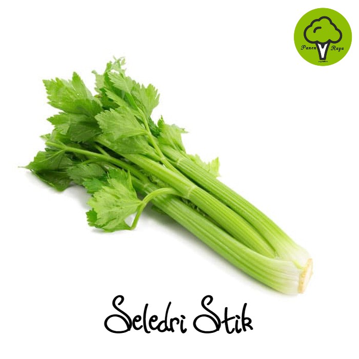 

SAYURAN / CELERY STIK / SELEDRI STICK [500GR]