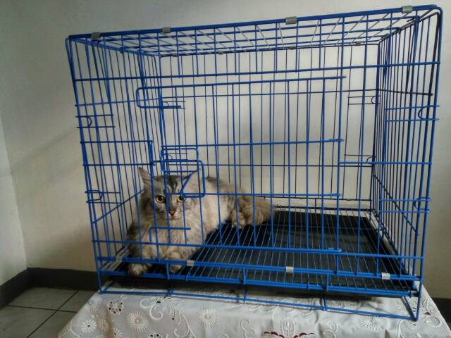 Kandang Kucing Besi Paling Tebal sesuai foto pintu besar ukuran L termurah di Indonesia-3