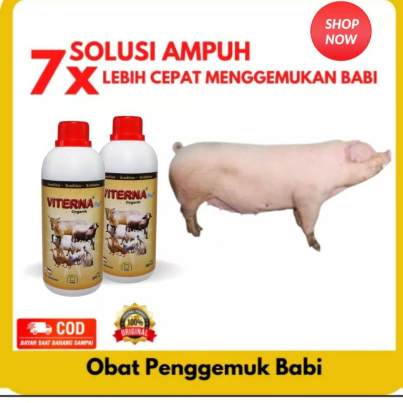 PENGGEMUK SAPI VITERNA NUTRISI SAPI BABI AYAM KAMBING dll