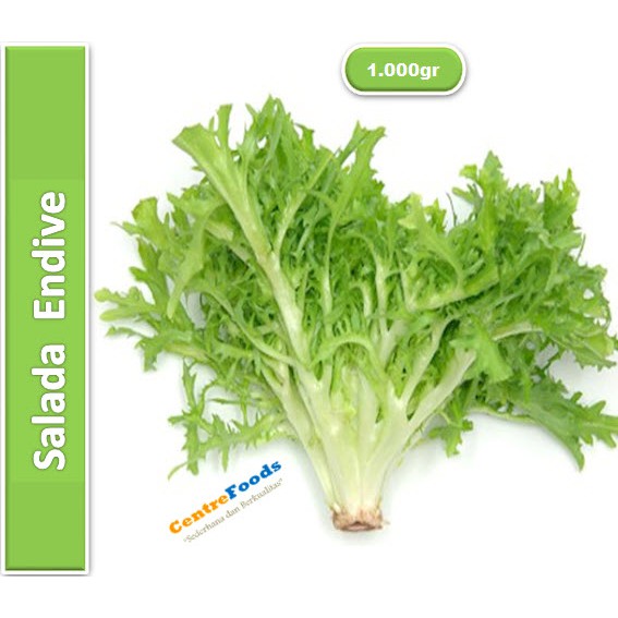 

Salada Endive Fresh | Jabar [ Harga Per KG ]