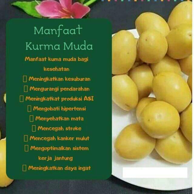 Kurma Muda Bahree 1kg Gram Indonesia