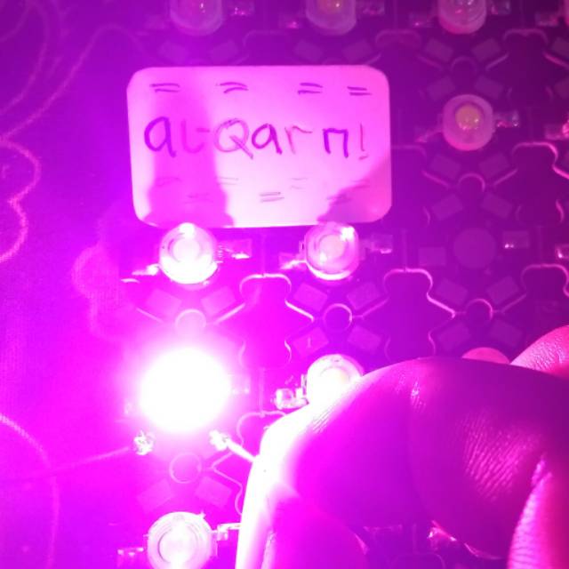 Led hpl 3 watt fullspectrum plus PCB lampu tanaman aquascape